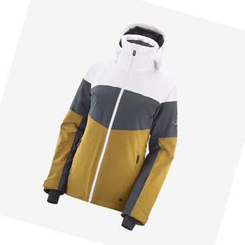 Chaquetas De Esquí Salomon SLALOM Mujer Marrom | MX 2405AHK